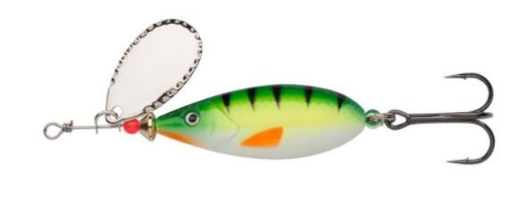 GREEN PERCH