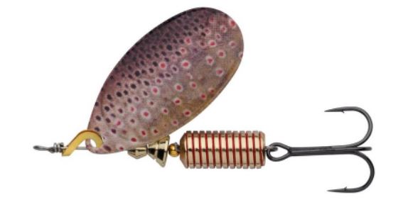 BROWN TROUT