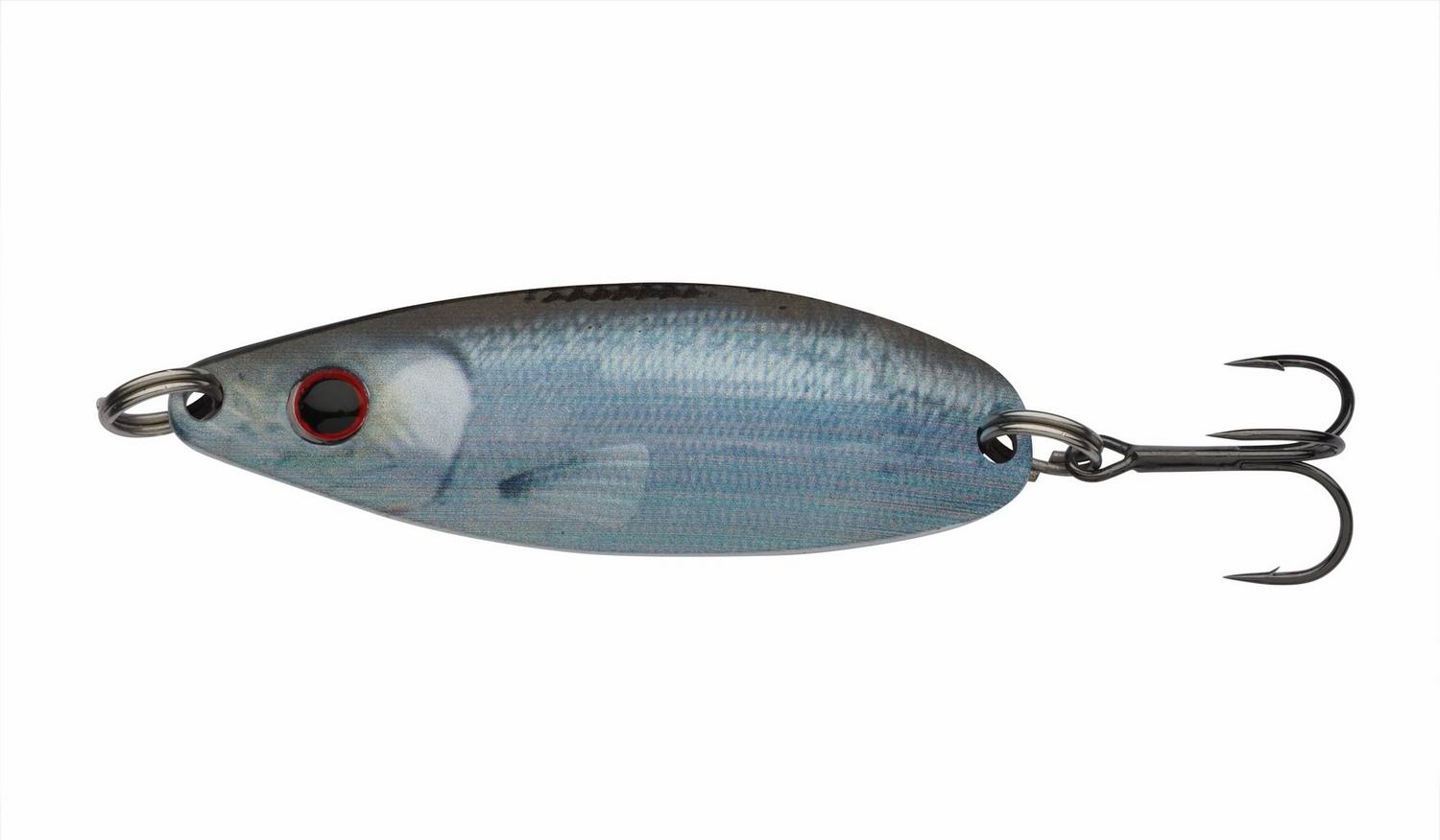 Baitfish